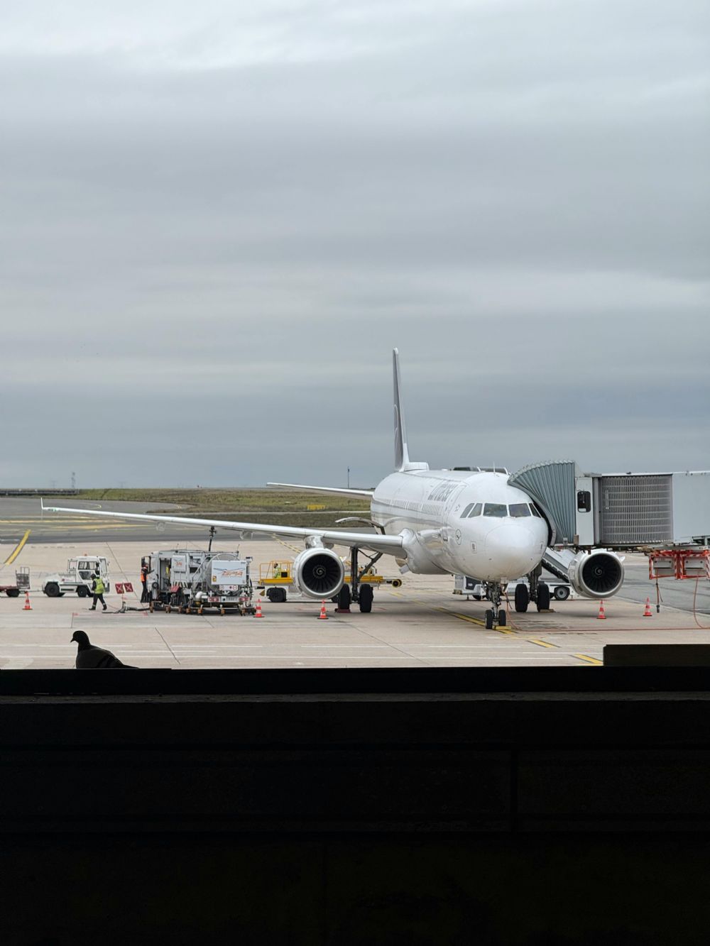 Ek Bagaj Sat�n Alma